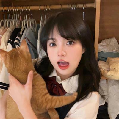 危岛坠爱